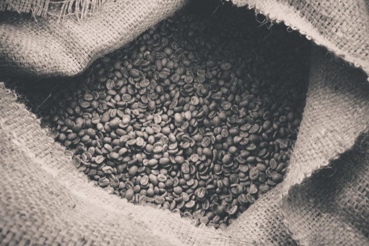 black & white overhead image looking down on an open burlap sack filled with coffee beans